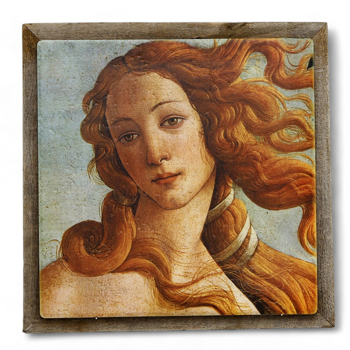 AFFRESCO: Ceramic Tile on Distressed Reclaimed Barn Wood Frame - Opera "Opera The Birth of Venus" (Detail) by Sandro USA