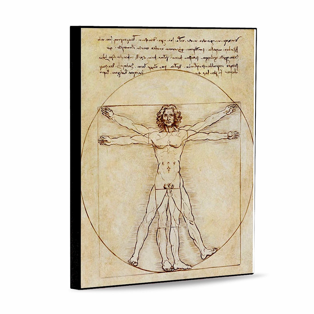 AFFRESCO: Panel Tile - Opera Vitruvian Man Drawing by Leonardo da Vinci (8x10)